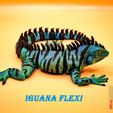 iguana_flexi2.jpg iguana_flexi_printinsitu