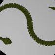 snake-22.jpg Articulated Rattlesnake