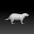 pra2.jpg Prairie dog - Prairie dogs 3d model for 3d print - Rodents 3d model