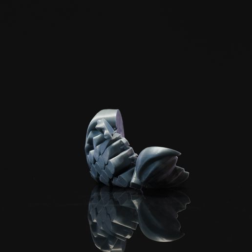 DSC01629.jpg Poissons minuscules articulés