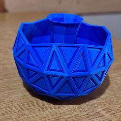 20230816_081113.jpg STL file Plant Pot・3D printable model to download