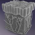 wuntitlged.jpg epithelial cells types collection 3D