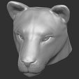 15.jpg Lioness head for 3D printing