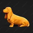 1113-Basset_Hound_Pose_05.jpg Basset Hound Dog 3D Print Model Pose 05