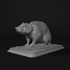 2022-12-30-19_29_51-Blender_-C__Users_lowri_OneDrive_Desktop_Rat_rat.blend.jpg 3D file Rat・Model to download and 3D print