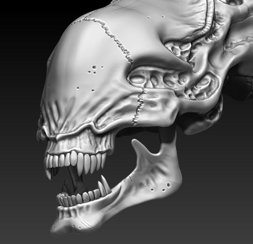 8.jpg ALIEN VS PREDATOR SKULL PACK