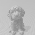 2.png labradoodle