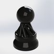 rendu pion.JPG Twisted chess game.