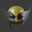 WolvM-Image6.png Accurate Wolverine Mask/Helmet - Deadpool 3