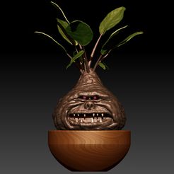 RENDER-MANDRAGOLA-2-COLOR.jpg Fichier STL Plante carnivore, "Mandrake"・Modèle pour impression 3D à télécharger