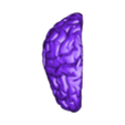 Atomic_2-Brain_Part_06.stl Human Brain | Multi-parts | Accurate Anatomy Model