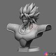 02.jpg Broly Bust - from Broly Movie 2019