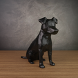 jackrussel8.png Jack Russell Low Poly