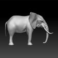 eeee2.jpg Elephant - realistic elephant for game and 3d print