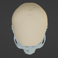 5.png 3D Model of Skull, Skull Cap and Mandible