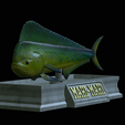 Base-mahi-mahi-20.png fish mahi mahi / common dolphin fish statue detailed texture for 3d printing