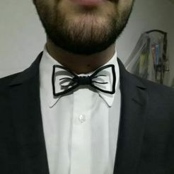 Captura2.JPG Free 3D file Minimalist Bowtie・3D printer design to download
