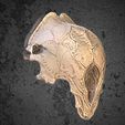 Image04.jpg FERAL PREDATOR skull helmet from the movie Prey