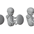 Ninth_Month_Matcap_02.png Month 9 Human embryonic (baby stages)