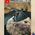 gatito.jpg Viking helmet Kitten