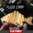 KAPR-LOGO.jpg FLEXI CARP