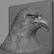 Bald-eagle4.jpg Majestic Eagle Head Bookend
