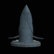 Barracuda-solo-model-9.png fish head great barracuda trophy statue detailed texture for 3d printing