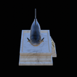Salmon-statue-21.png Atlantic salmon / salmo salar / losos obecný fish statue detailed texture for 3d printing