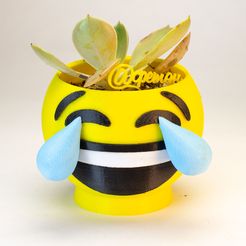 27.jpg STL file MACETA EMOJI laughter・3D printer model to download