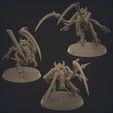nids.1157.jpg ORIGINAL PLASTIC FREE LICTOR (2-4 poses)