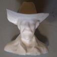 Cowboy-2.jpg Texas cowboy with a Stetson hat