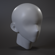 Untitled_Viewport_020.png Base Mesh - Head - Anime Female / SURPRISE GIFT