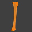 6.png 3D Model of Tibia Bone