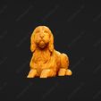 1064-Basset_Griffon_Vendeen_Petit_Pose_08.jpg Basset Griffon Vendeen Petit Dog 3D Print Model Pose 08