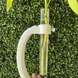 IMG_9486.jpg Modern floating tube vascular plants planter