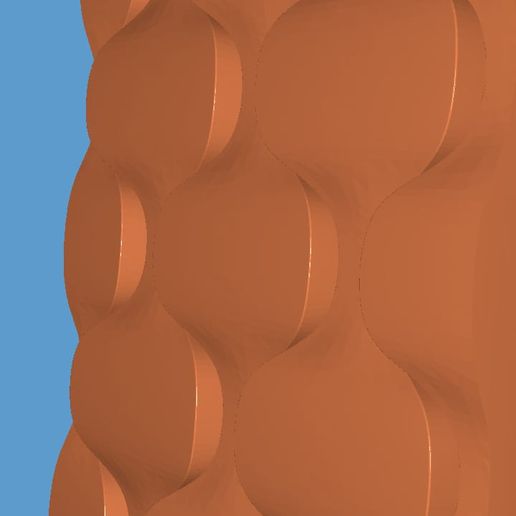 WhatsApp-Image-2023-01-22-at-10.24.51-PM-1.jpeg Cheshuya