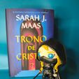 02.jpeg Celaena Sardothien Funko FanArt - Throne of glass