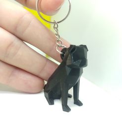 IMG_20231111_152219185.jpg keychain pug dog keychain low poly, pug dog keychain low poly