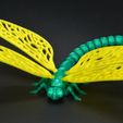 DSC_8154ютуб.jpg Flexi dragonfly