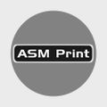 ASM_Print