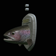 Rainbow-trout-solo-model-open-mouth-1-14.png fish head trophy rainbow trout / Oncorhynchus mykiss open mouth statue detailed texture for 3d printing