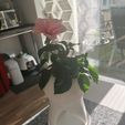 Tooth Vase,  Dentist Gift