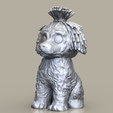perro-de-agua-2-gris.758.png FUNKO POP DOG (WATER DOG)