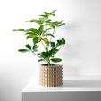 misprint-9874.jpg The Tulam Planter Pot with Drainage | Tray & Stand Included | Modern and Unique Home Decor for Plants and Succulents  | STL File