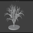 Screenshot-2026-03-08-104004.png Дерево