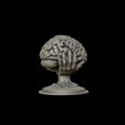 25.jpg Brain sculpture 3D print model