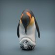 Penguin_7.jpg Emperor Penguin