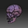 Skull-wireframe.jpg Skull 2