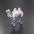 Cults05.png Bactrian Camel