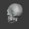 skull05.jpg Human Skull 2.0